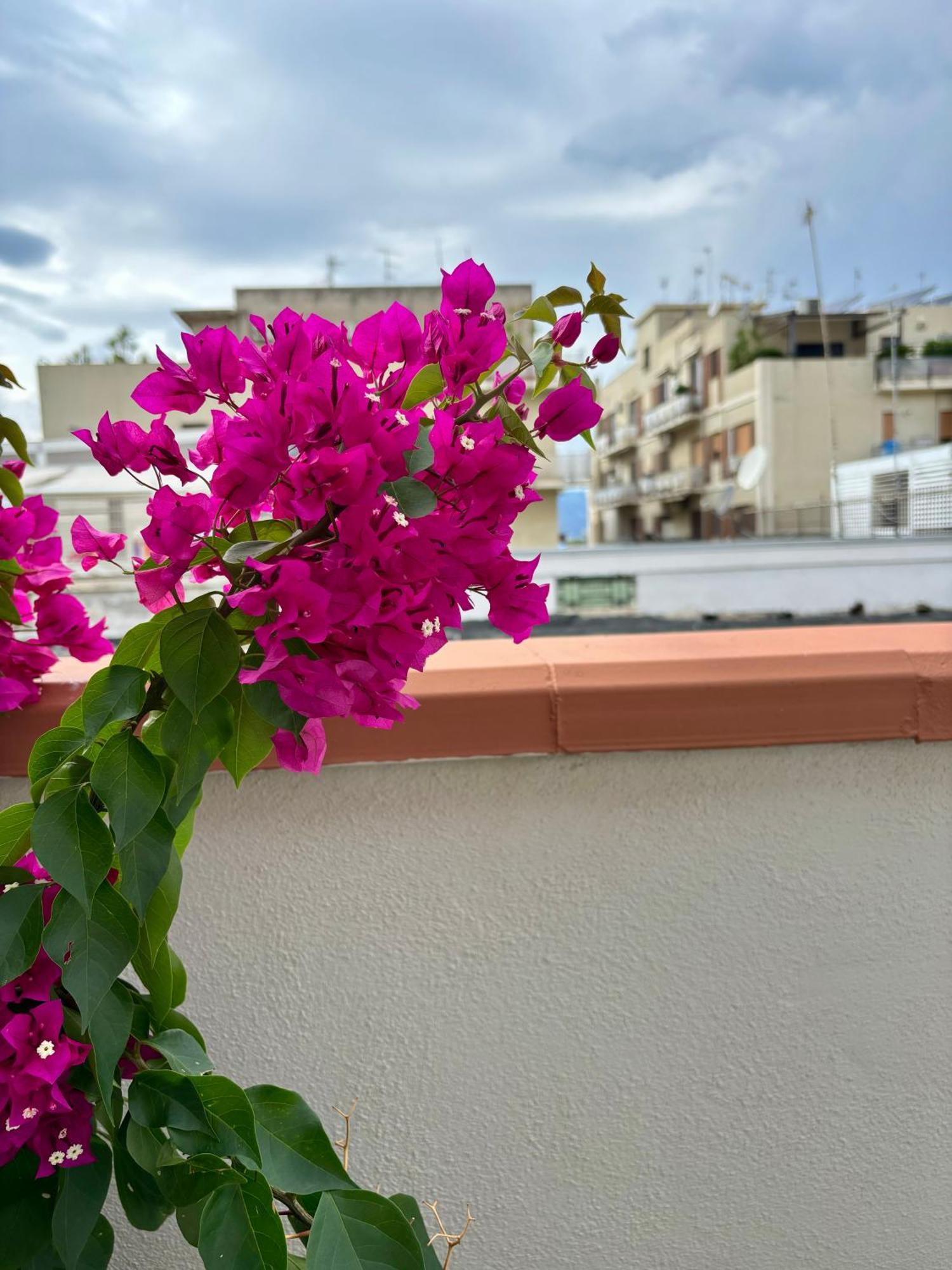 Apartment Strettomare-business & Travel *